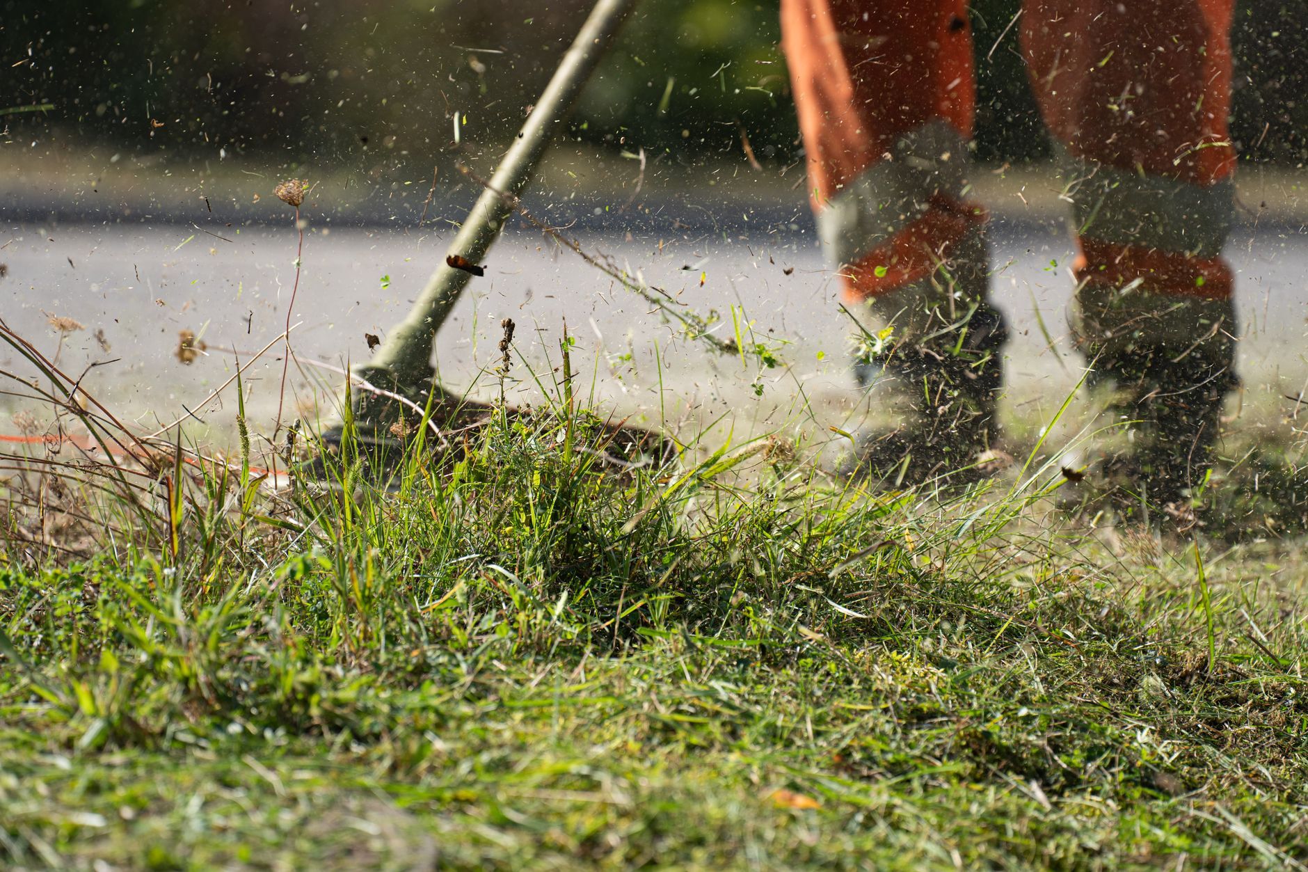Lawn Mowing